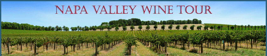 Contact Napa Valley Wine Tour