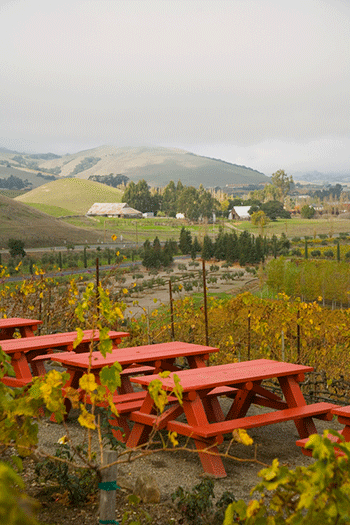 Sonoma Valley Wine Tour Limousines